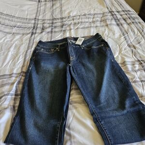 Torrid Indigo Straight Leg Jeans